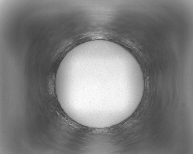 X0000061761446200512021126