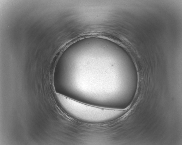 X0000061761449200512021126