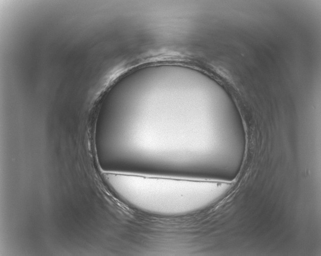 X0000061761455200512021126
