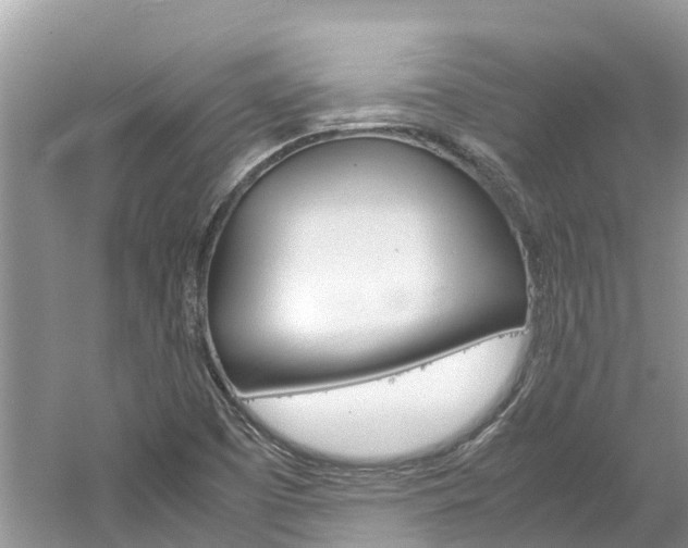 X0000061761457200512021126
