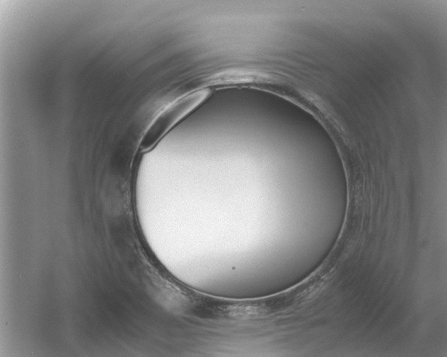 X0000061761465200512021125