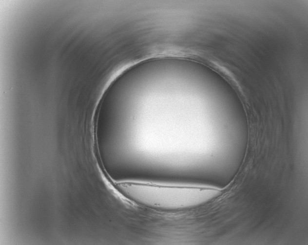 X0000061761479200512021125
