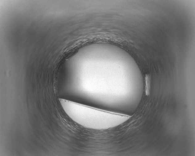 X0000061761491200512021124
