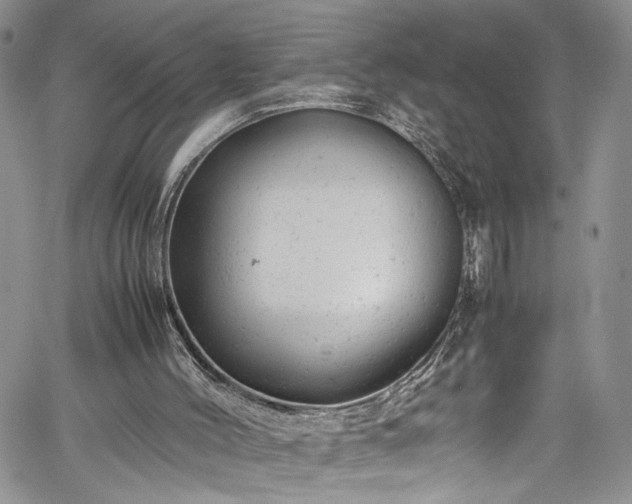 X0000061760004200512021521