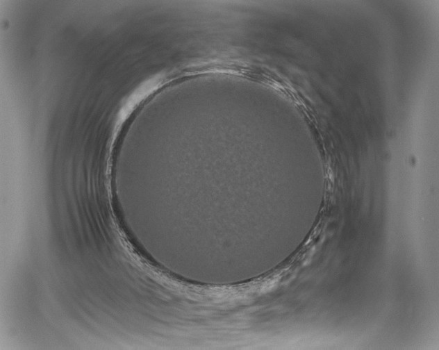 X0000061760006200512021521