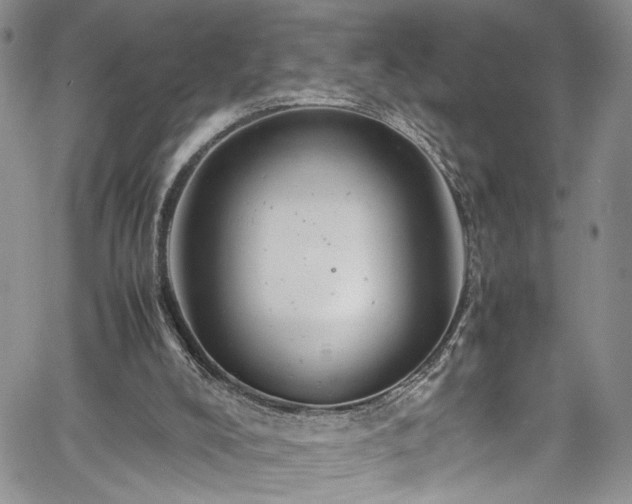 X0000061760008200512021521