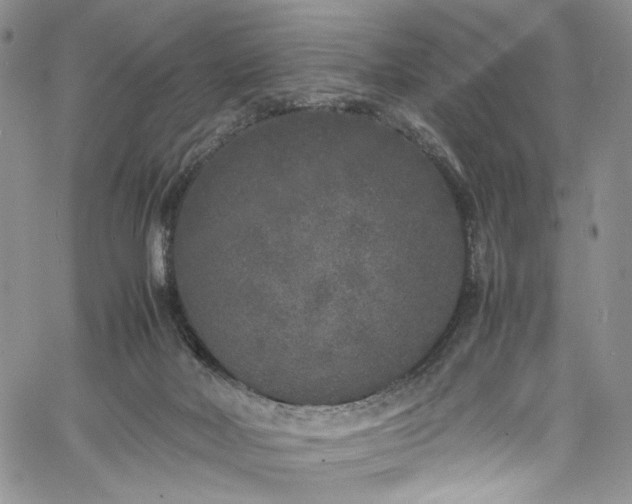 X0000061760026200512021521