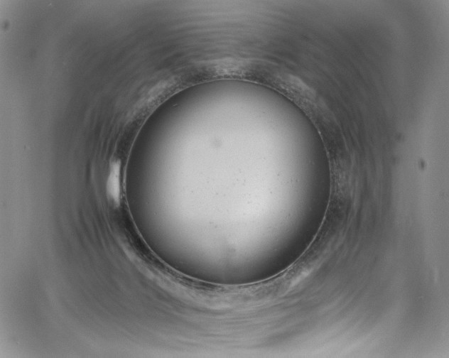 X0000061760028200512021521