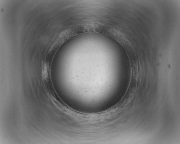 X0000061760038200512021521