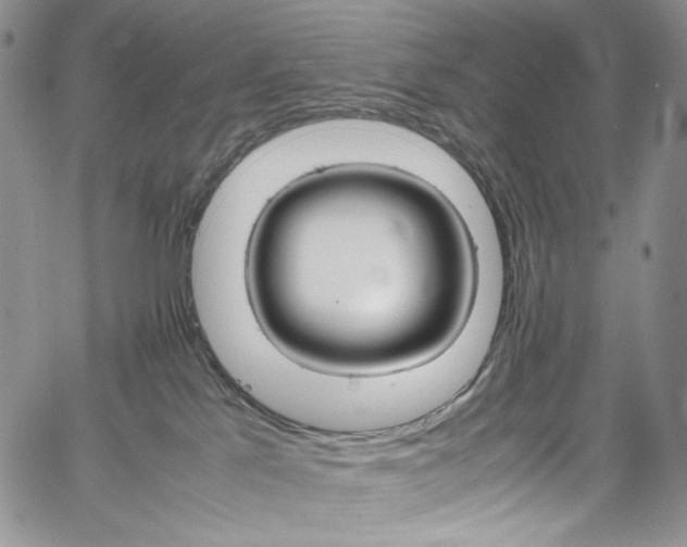 X0000061760041200512021521