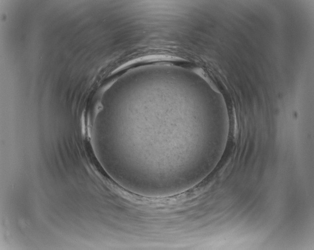 X0000061760042200512021521