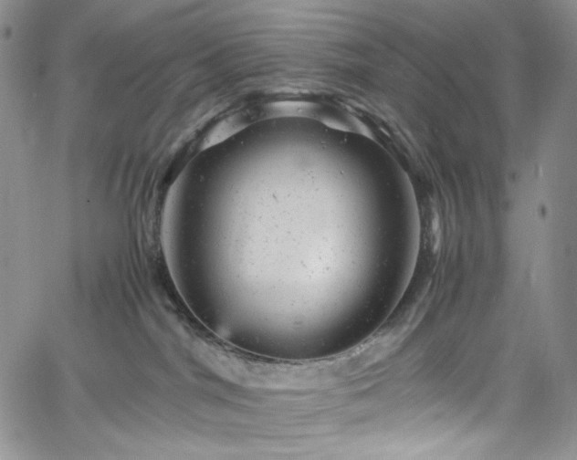 X0000061760044200512021521
