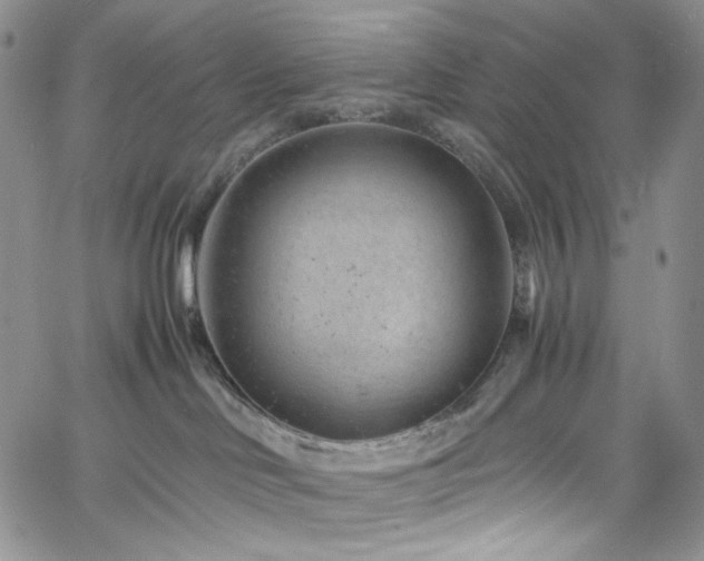 X0000061760046200512021521