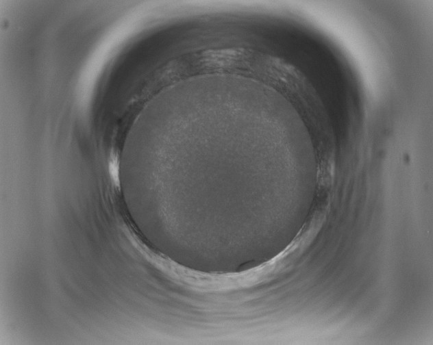 X0000061760047200512021521