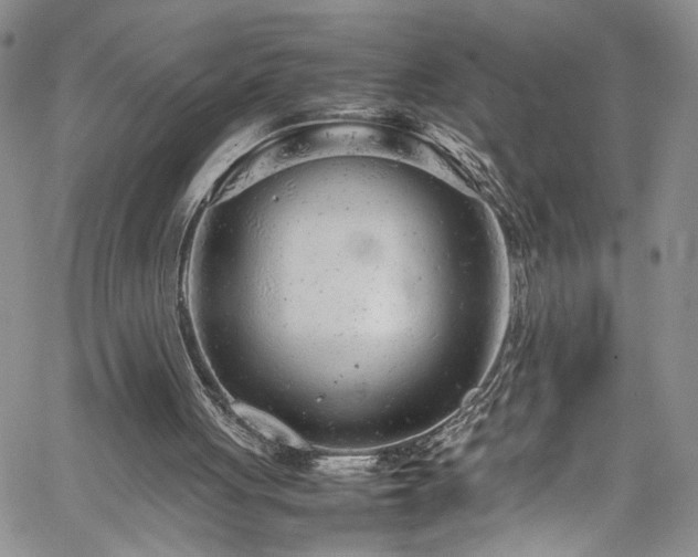 X0000061760051200512021520