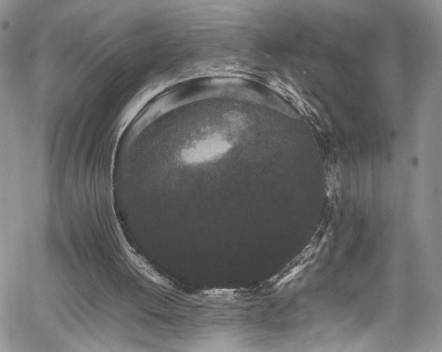X0000061760052200512021520