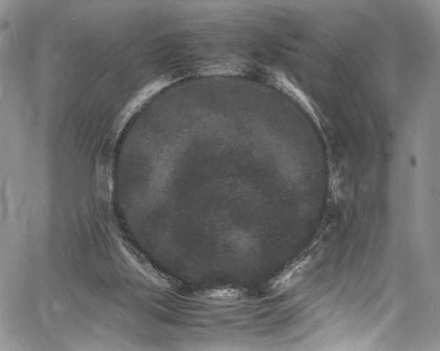 X0000061760059200512021520