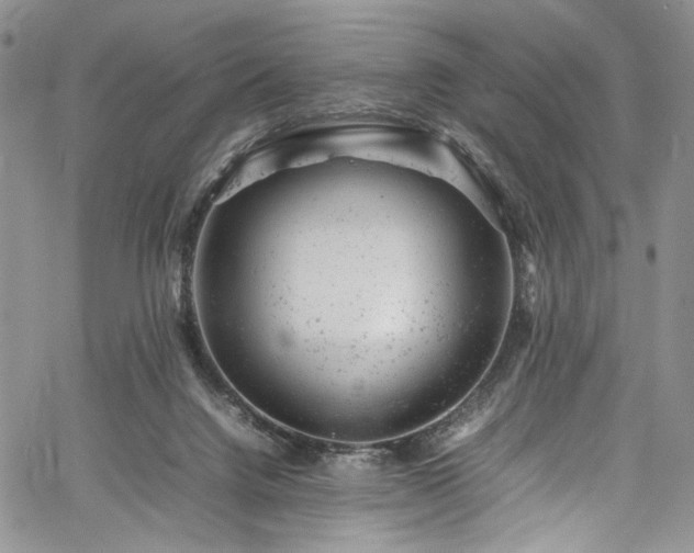 X0000061760072200512021520
