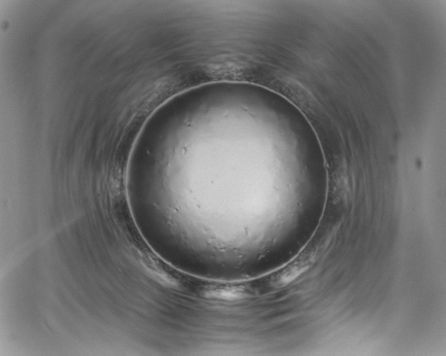 X0000061760081200512021520