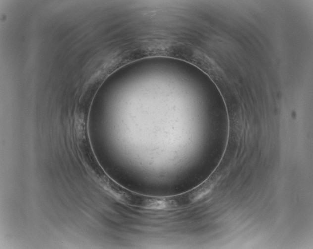 X0000061760083200512021520