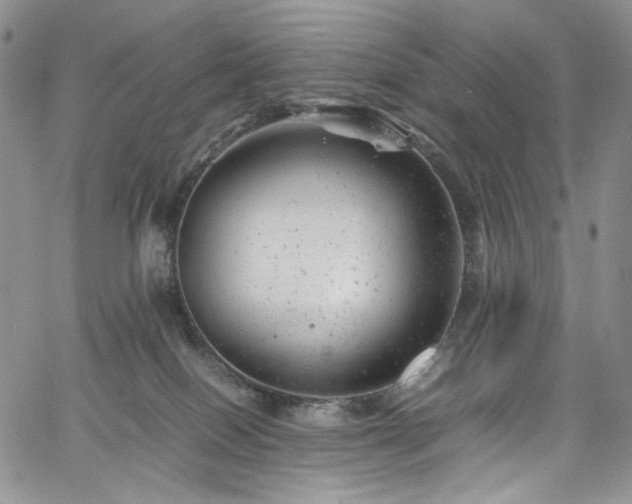 X0000061760086200512021520