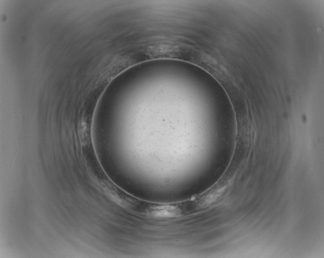 X0000061760087200512021520