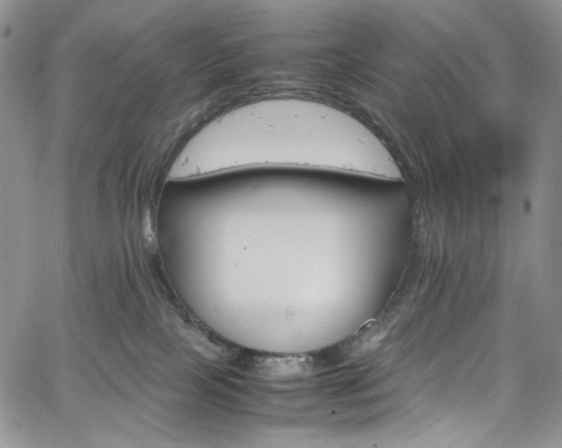 X0000061760089200512021521
