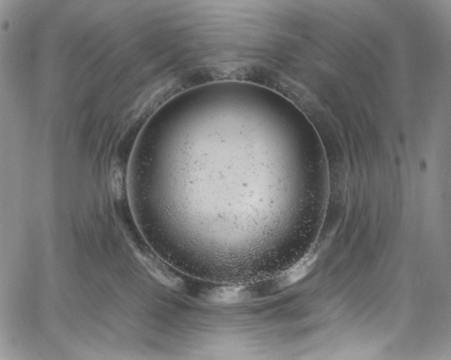 X0000061760090200512021521
