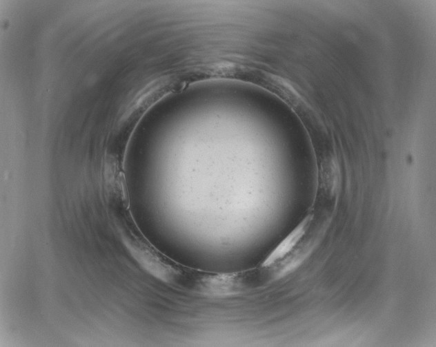 X0000061760092200512021521