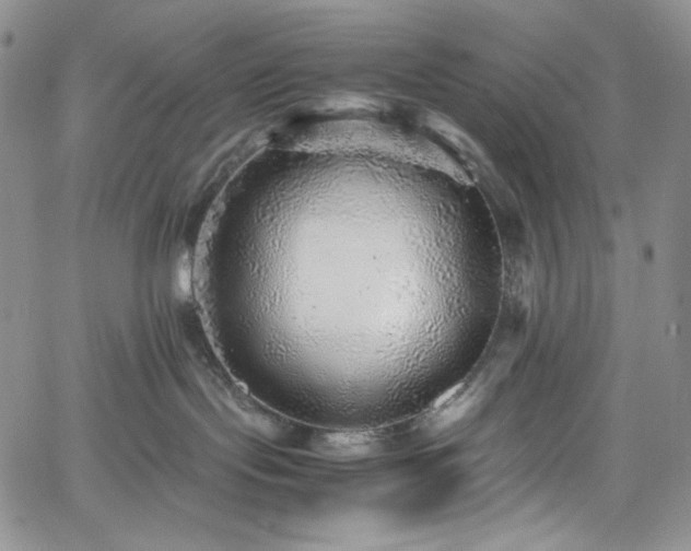 X0000061760095200512021521
