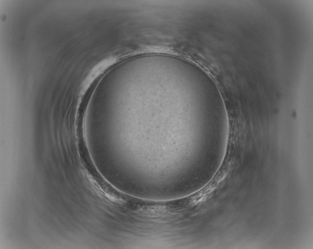 X0000061760104200512021520