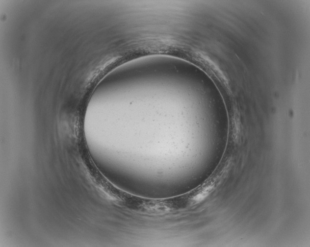 X0000061760113200512021520