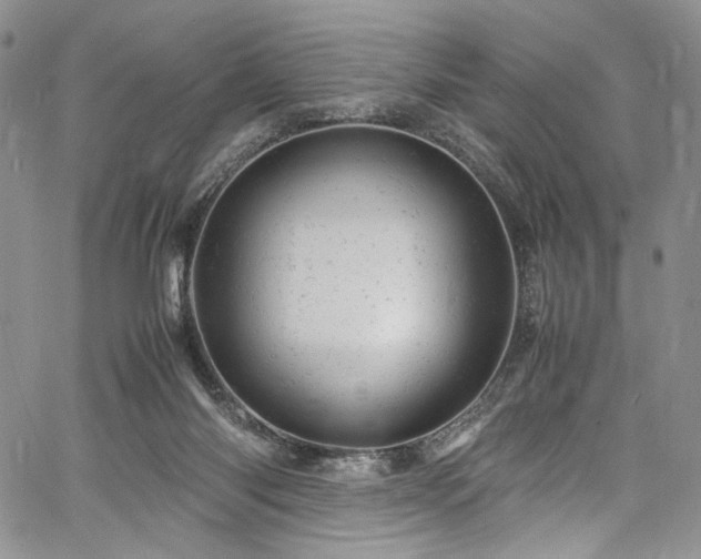 X0000061760118200512021519