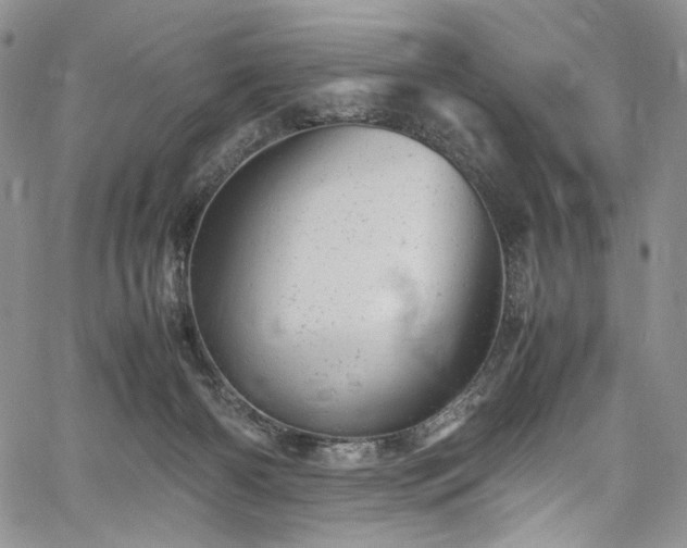 X0000061760126200512021519
