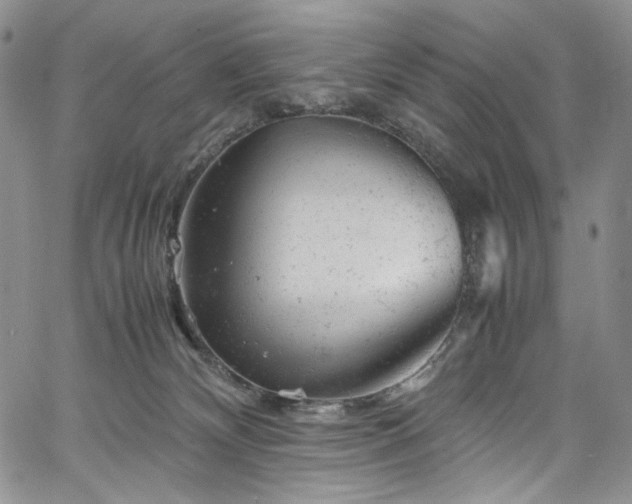X0000061760132200512021519