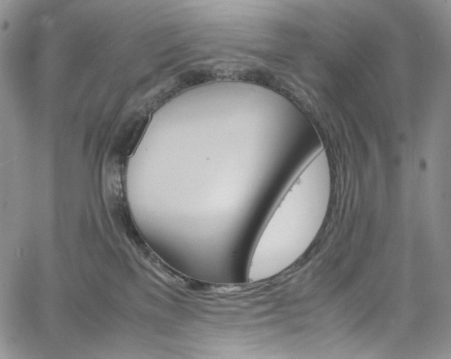 X0000061760137200512021519