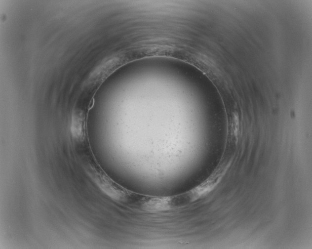 X0000061760138200512021519