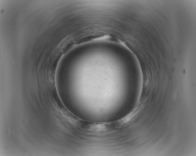 X0000061760140200512021519