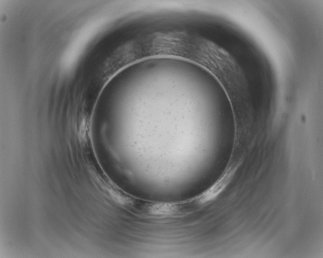 X0000061760142200512021519