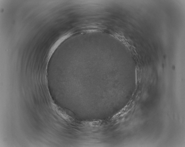 X0000061760147200512021518