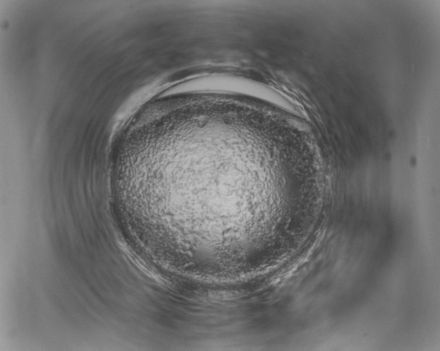 X0000061760149200512021518
