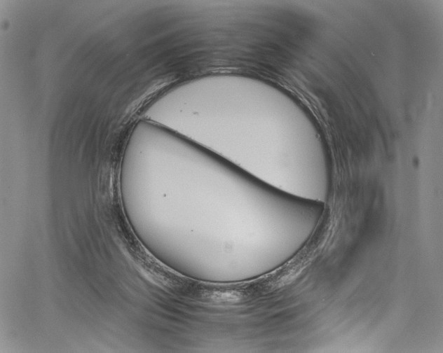 X0000061760157200512021518