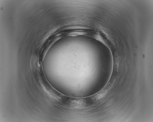 X0000061760164200512021519