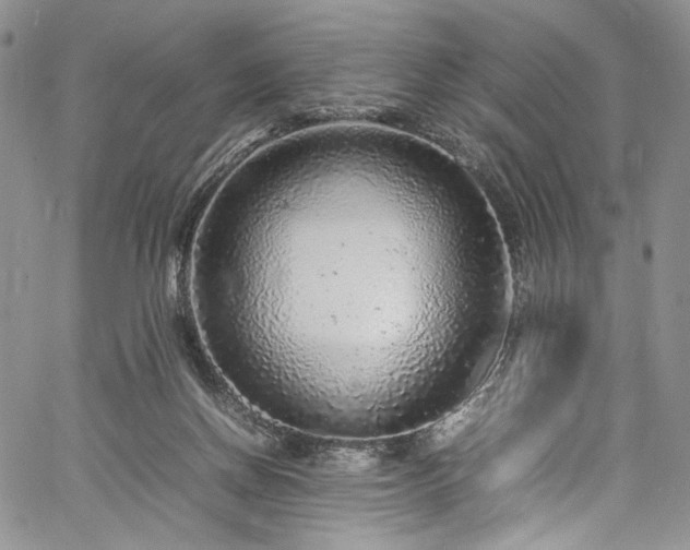 X0000061760166200512021519