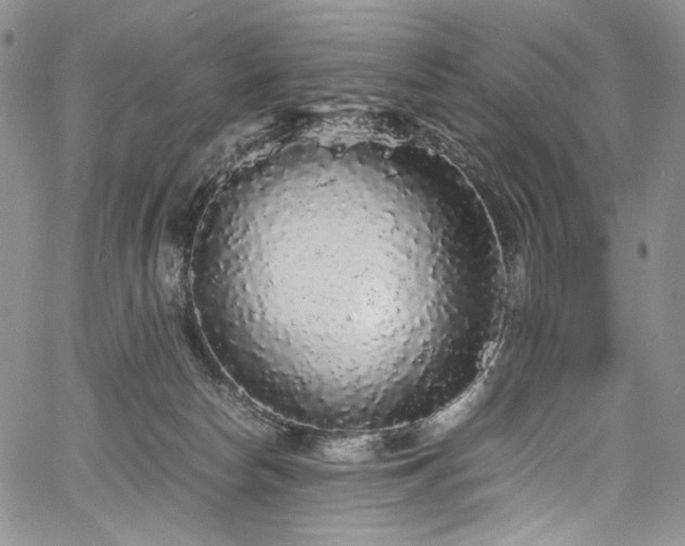 X0000061760178200512021519