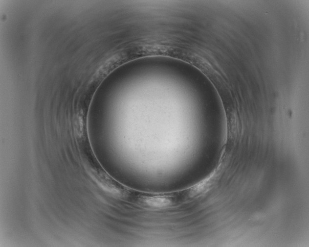 X0000061760183200512021519