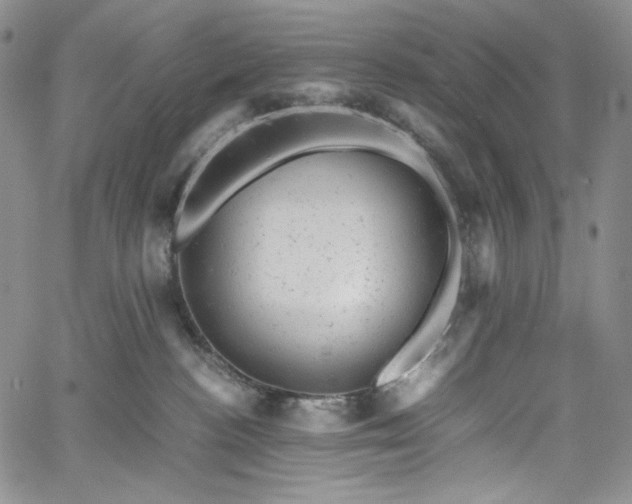 X0000061760188200512021519