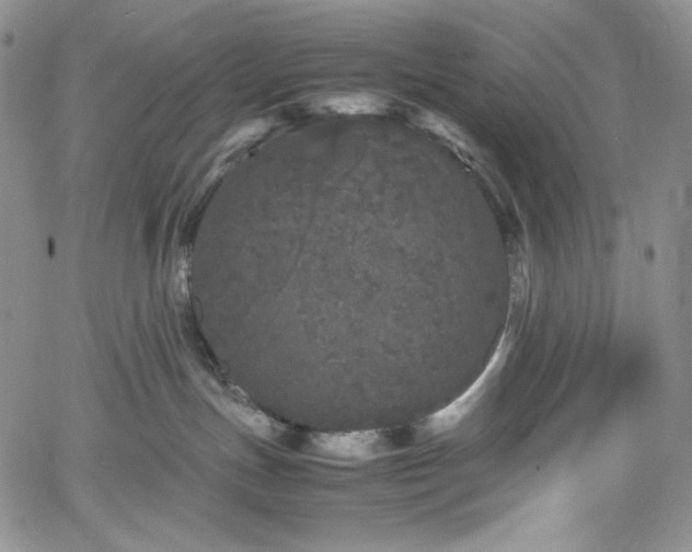 X0000061760191200512021519
