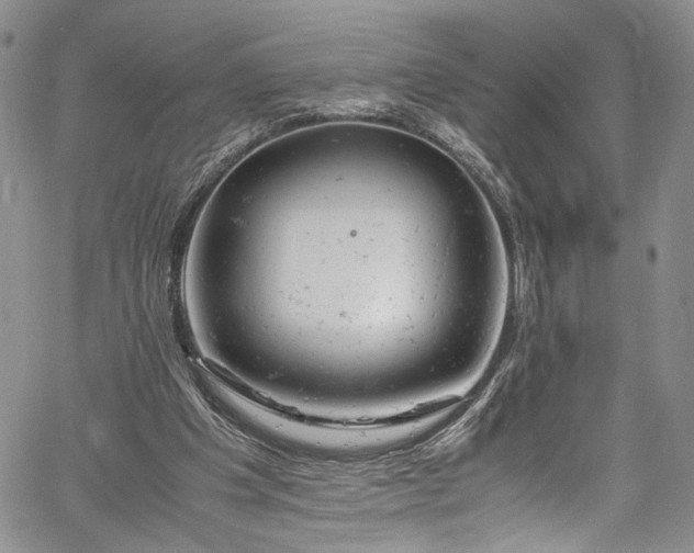 X0000061760201200512021518