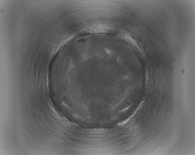 X0000061760202200512021518